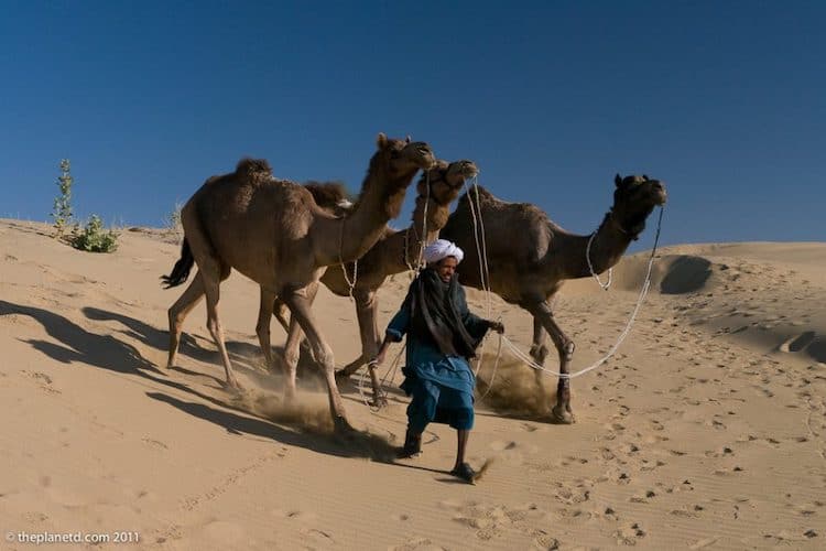 Camel Safari Jaisalmer, ei niin mystinen Rajasthanissa